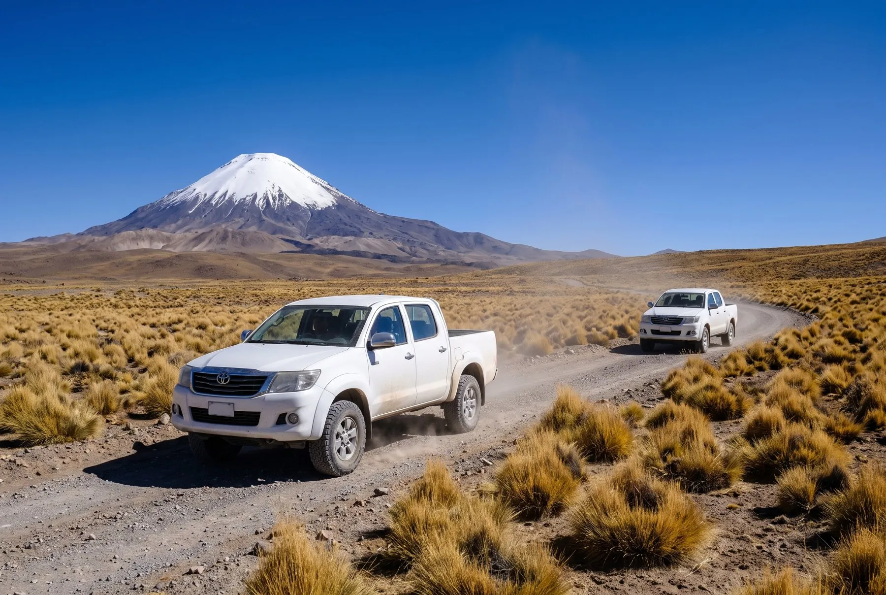Dos camionetas 4x4 blancas en caravana por un camino de ripio del altiplano, con el volcán Parinacota al fondo